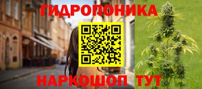 ECSTASY Тулун