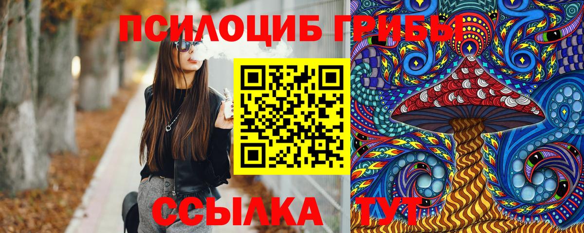 Норильск  купить наркотики сайты  Вход с VPN  Псилоцибиновые грибы мицелий  Галлюциногенные грибы ЛСД 